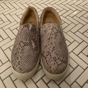 Snake Print Shoes
